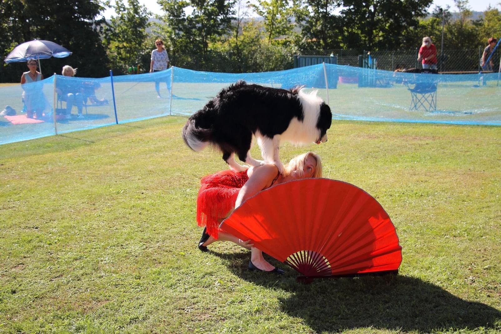 Dogdance Turnier der Fellnasen AG